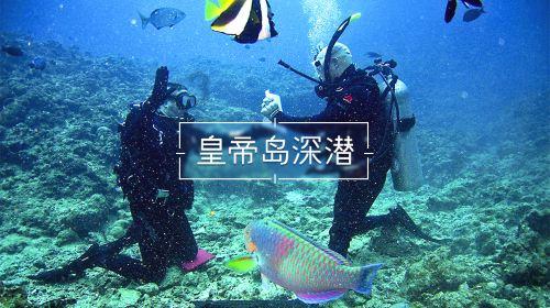 小猫钓鱼游戏龙王版有船